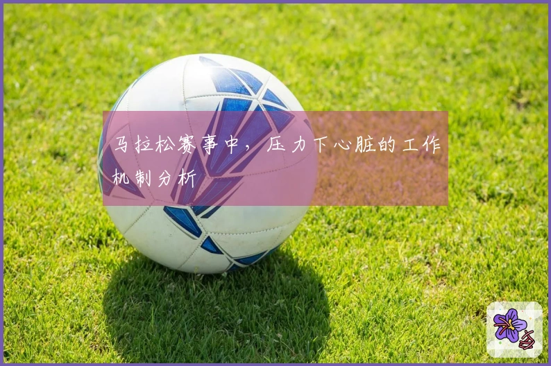 马拉松赛事中，压力下心脏的工作机制分析