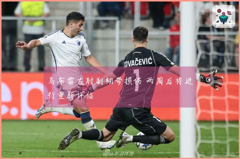 乌布雷左肘副韧带损伤 两周后将进行重新评估