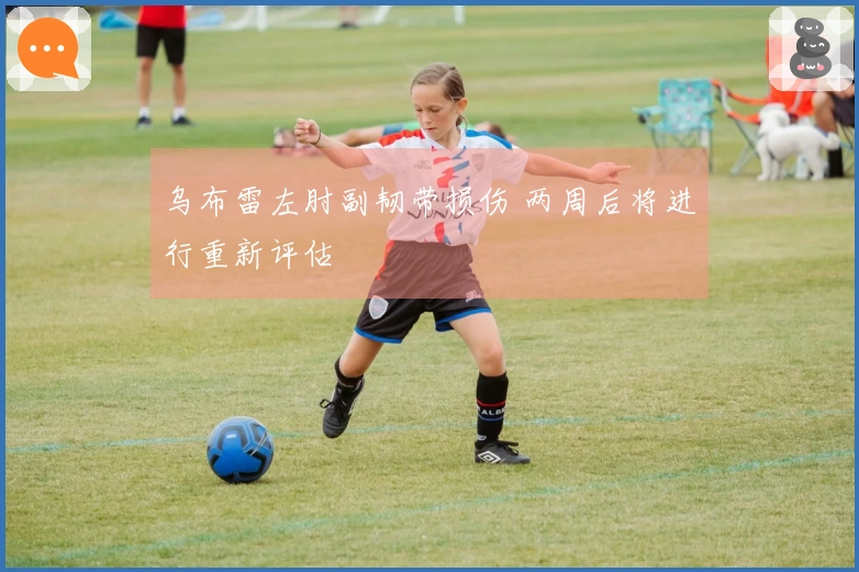 乌布雷左肘副韧带损伤 两周后将进行重新评估