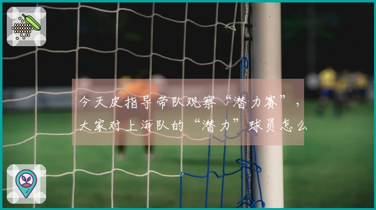 今天皮指导带队观察“潜力赛”，大家对上海队的“潜力”球员怎么看？
