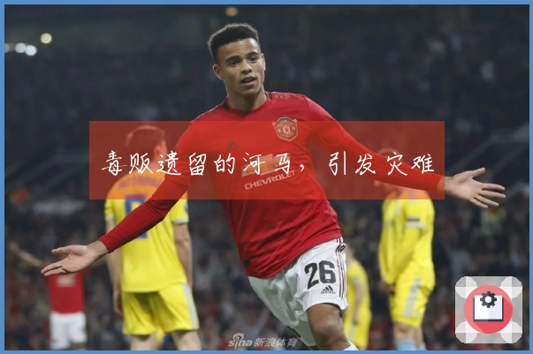 毒贩遗留的河马，引发灾难