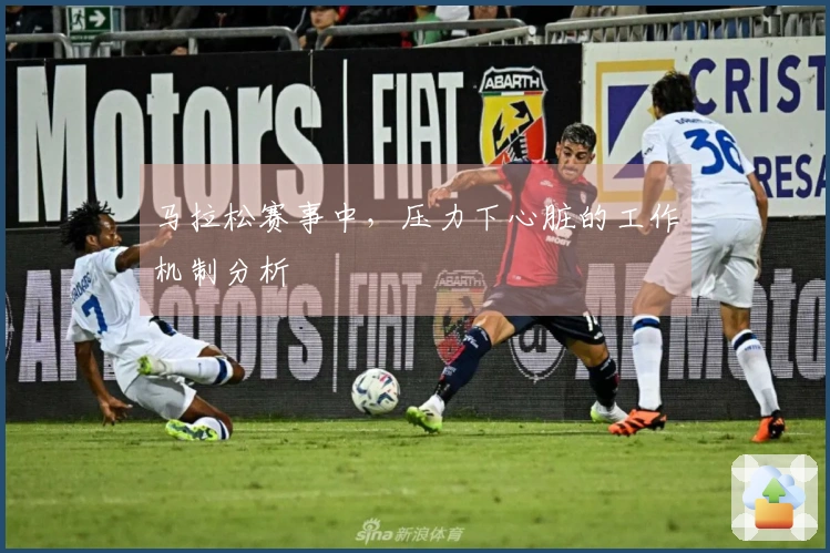 马拉松赛事中，压力下心脏的工作机制分析