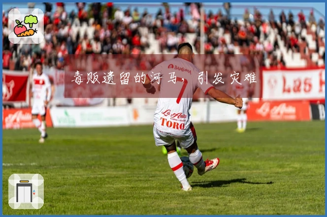 毒贩遗留的河马，引发灾难